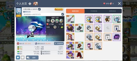 冒险岛2宠物怎么用