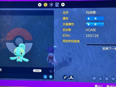 怎么区分闪光宝可梦