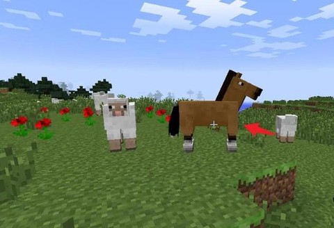 我的世界乌贼怎么养