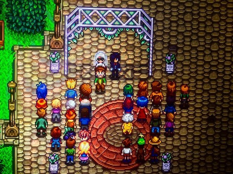 星露谷物语zip什么