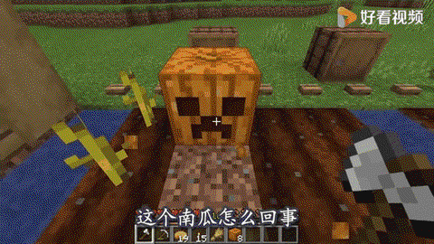 我的世界怎么种植南瓜[图1]