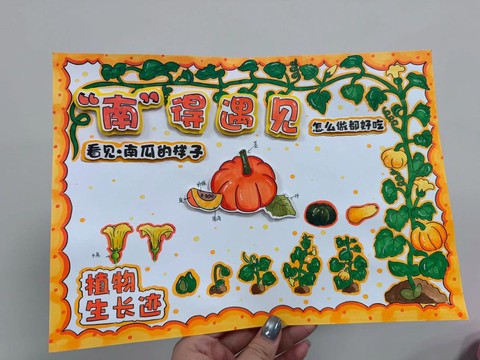 我的世界怎么种植南瓜[图2]